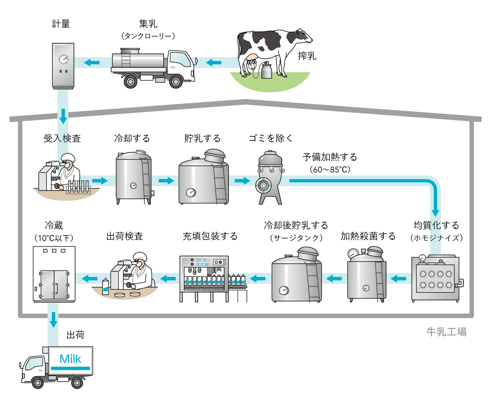 工場で牛乳が生産されるまでの流れ