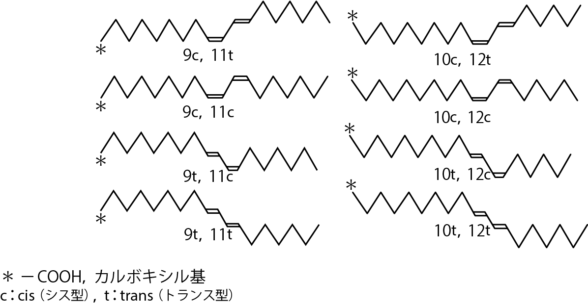 共役リノール酸（CLA）の構造式