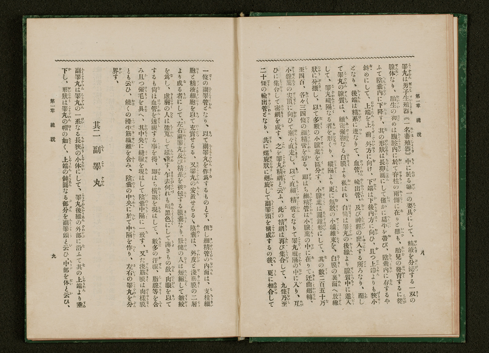 色情衛生哲学 一名人體改良論 書籍 論文 その他刊行物 一般社団法人 Jミルク 酪農乳業史デジタルアーカイブ 色情衛生哲学 一名人體改良論 書籍 論文 その他刊行物 一般社団法人 Jミルク 酪農乳業史デジタルアーカイブ