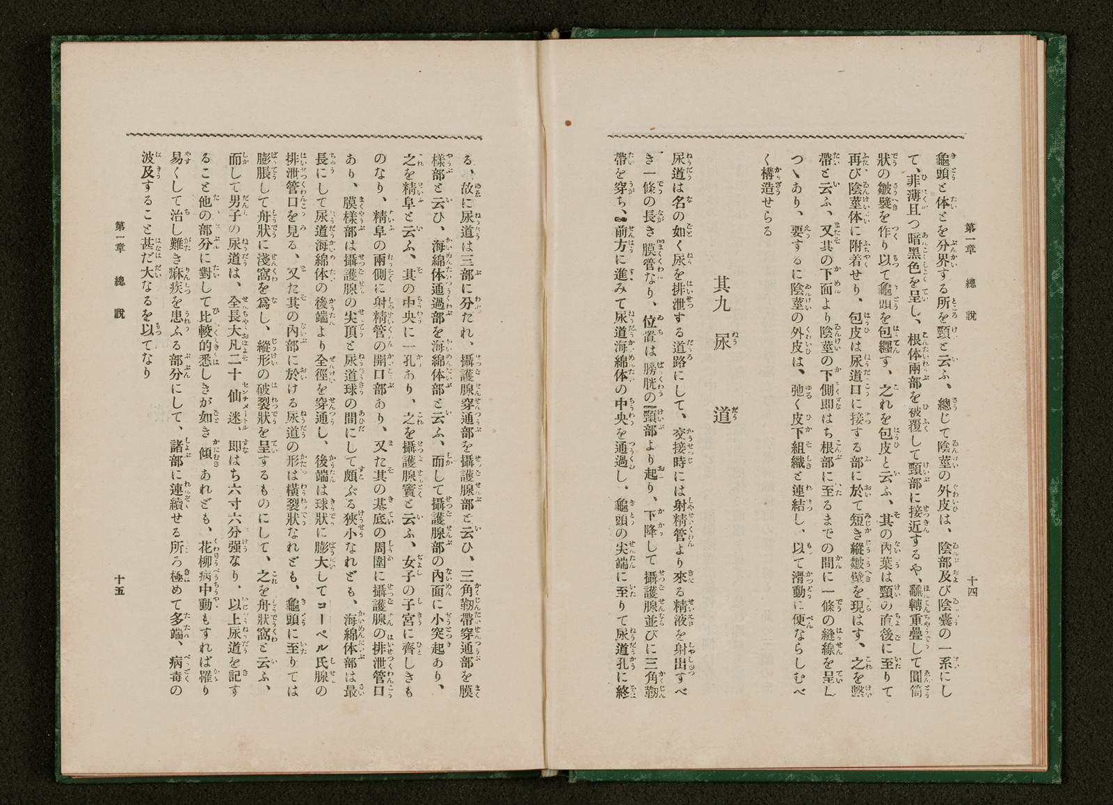 人工進化の秘密!/魔法の月の血闘 (創元SF文庫) | エドモンド