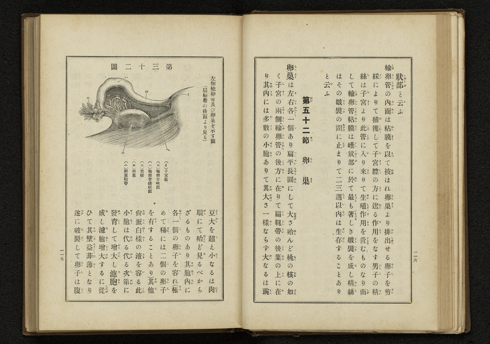 産婆学講義(上巻) |書籍・論文・その他刊行物|一般社団法人 産婆学講義(上巻) |書籍・論文・その他刊行物|一般社団法人
