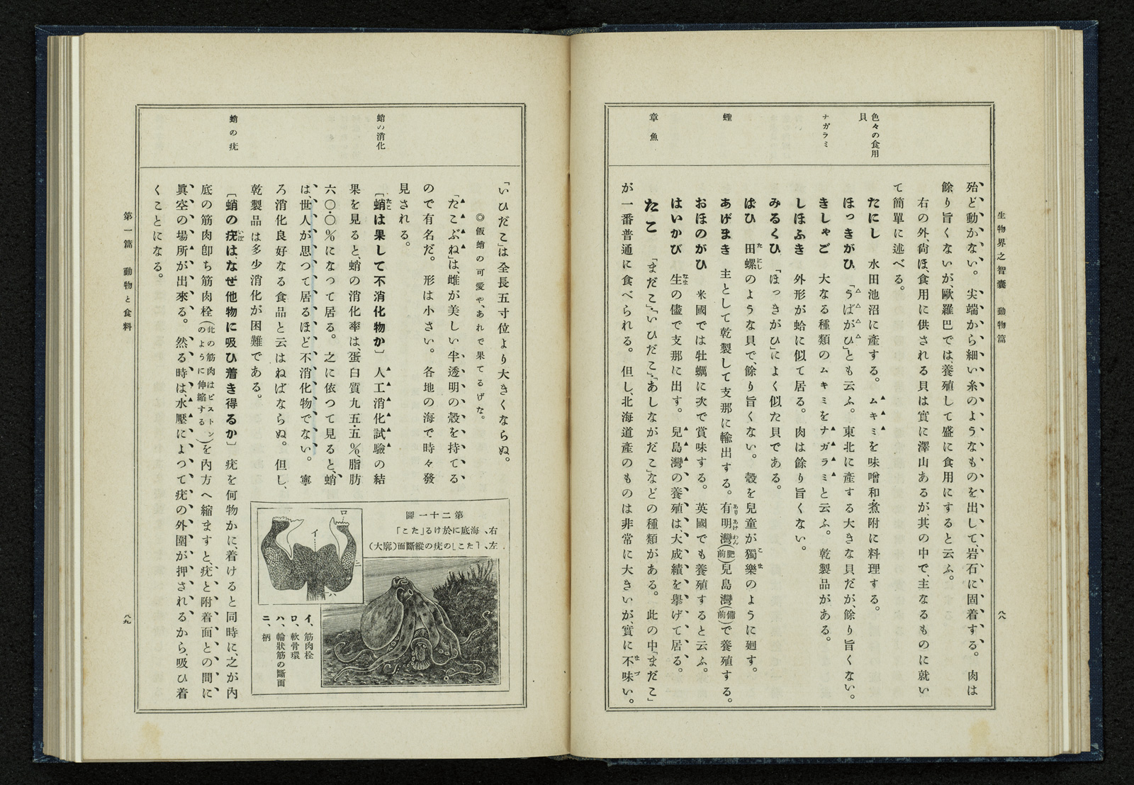 生物界之智寰 動物篇 書籍 論文 その他刊行物 一般社団法人 Jミルク 酪農乳業史デジタルアーカイブ 生物界之智寰 動物篇 書籍 論文 その他刊行物 一般社団法人 Jミルク 酪農乳業史デジタルアーカイブ