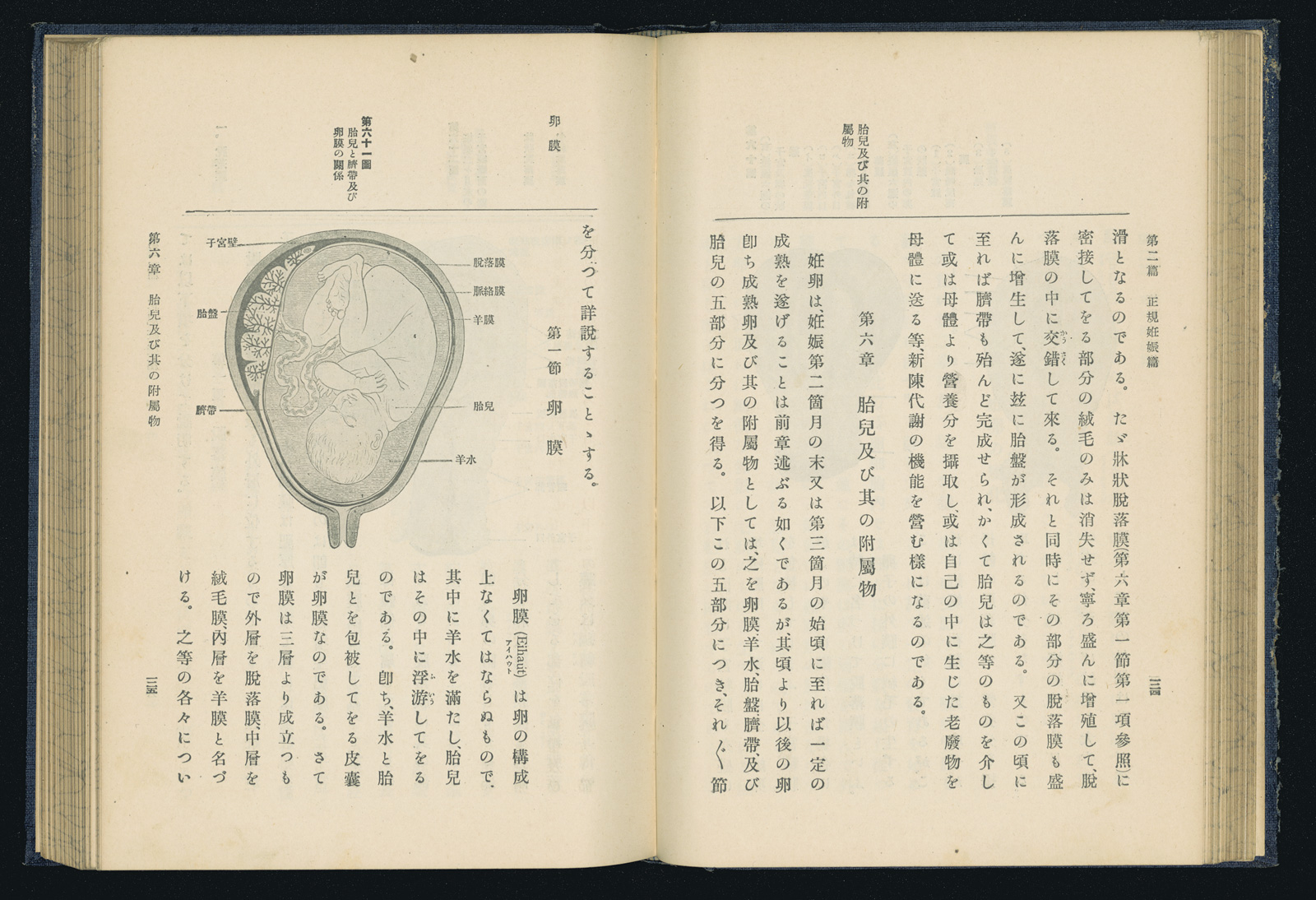 見てわかる農学シリーズ 遺伝学の基礎 ｜朝倉書店