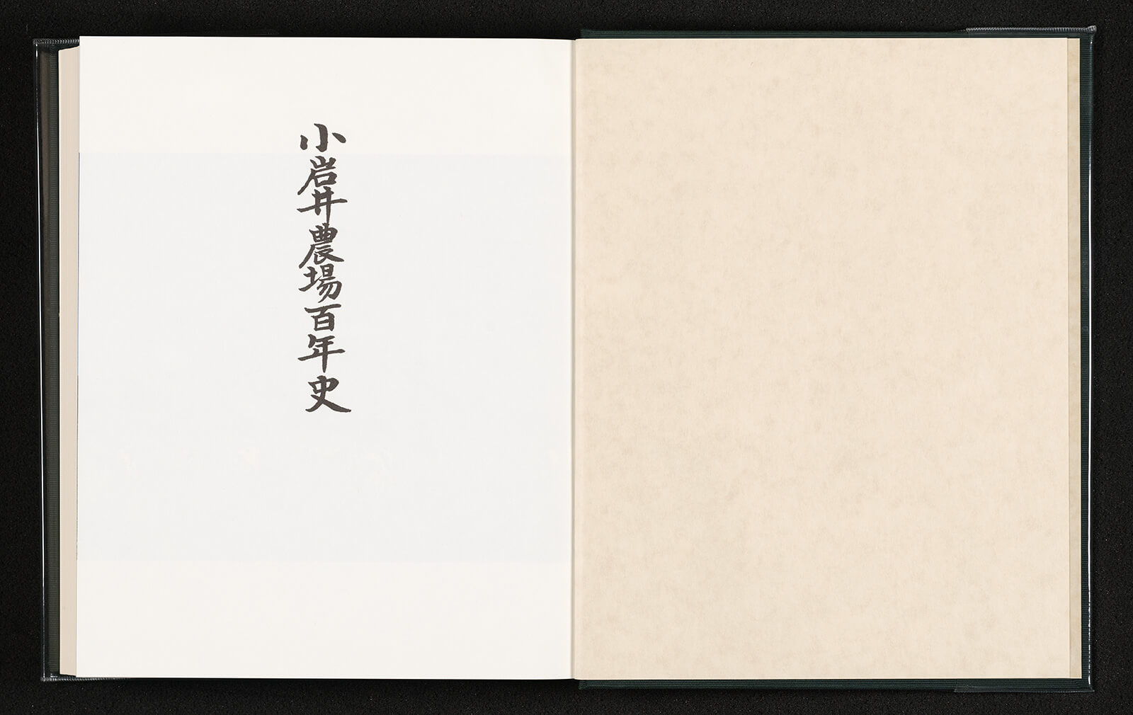 小岩井農場百年史 100年 平成10年 090021 1_ 小岩井農場百年史 100年 平成10年 090021 / 盛高書店 / 古本