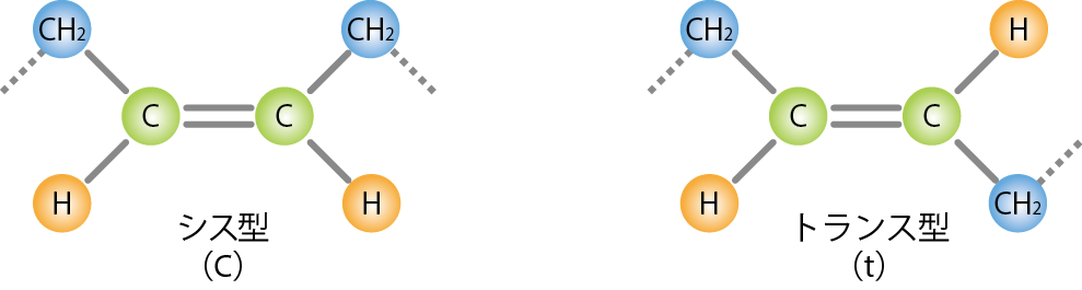 不飽和脂肪酸における二重結合のシス型とトランス型