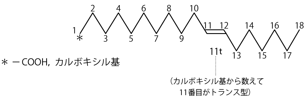 バクセン酸（C18：1）の構造式