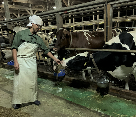 飼料は乳牛の体や酪農経営にも影響を与える
