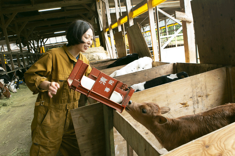 子牛の哺乳では飲む速さや飲みっぷりで健康状態を見る