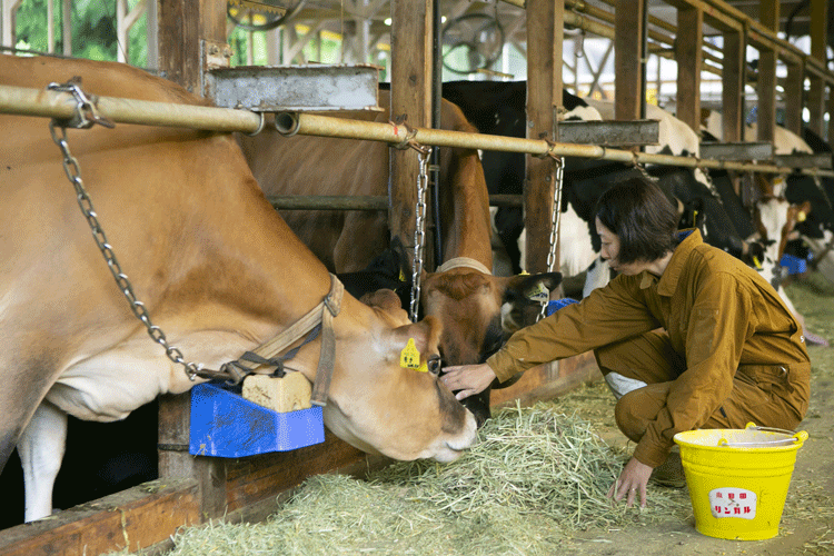 飼料であるエサの食いつきにも注意を払う