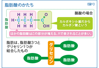 第6回　脂肪酸学