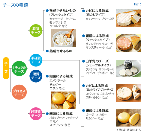 第7回 チーズ学 | 一般社団法人Jミルク Japan Dairy Association （J-milk）