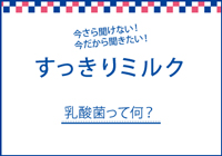 ←すっきりミルク-3　乳酸菌って何？