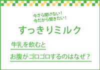 ←すっきりミルク-1　牛乳を飲むとおなががゴロゴロするのはなぜ？