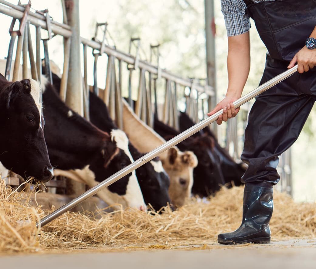 酪農乳業の現状メインビジュアル