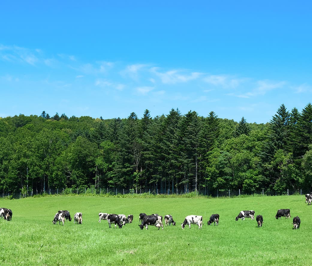 地球にやさしく 温室効果ガスの削減 メインビジュアル
