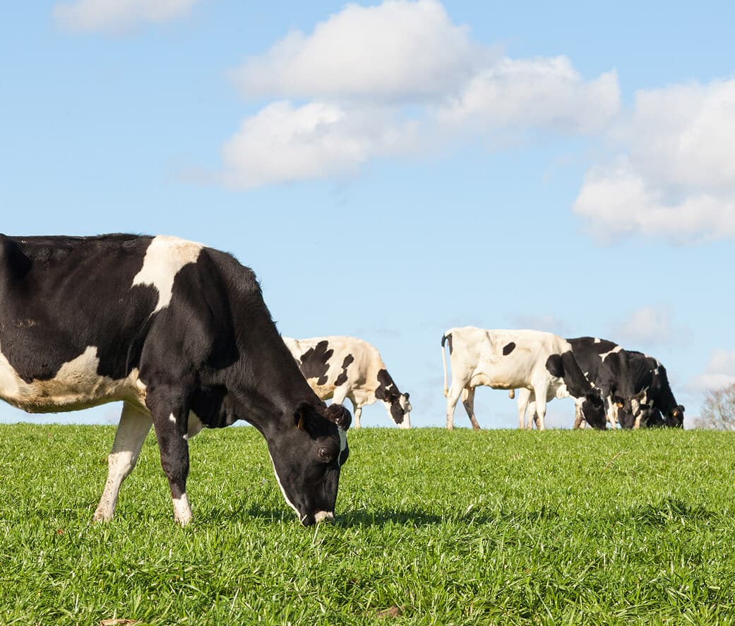 根幹的課題への対応 メインビジュアル