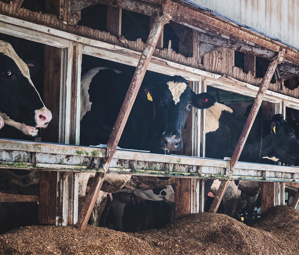 課題の洗い出し メインビジュアル