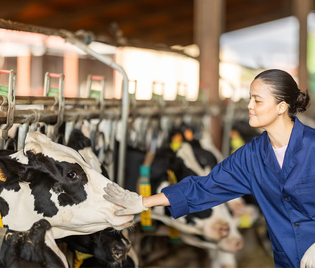 人にやさしく 労働者の安全と権利 メインビジュアル