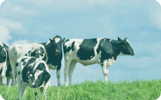 Jミルク生乳及び牛乳乳製品の需給見通し