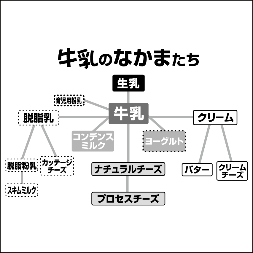 牛乳の豆知識 一般社団法人jミルク Japan Dairy Association J Milk 牛乳の豆知識 一般社団法人jミルク Japan Dairy Association J Milk
