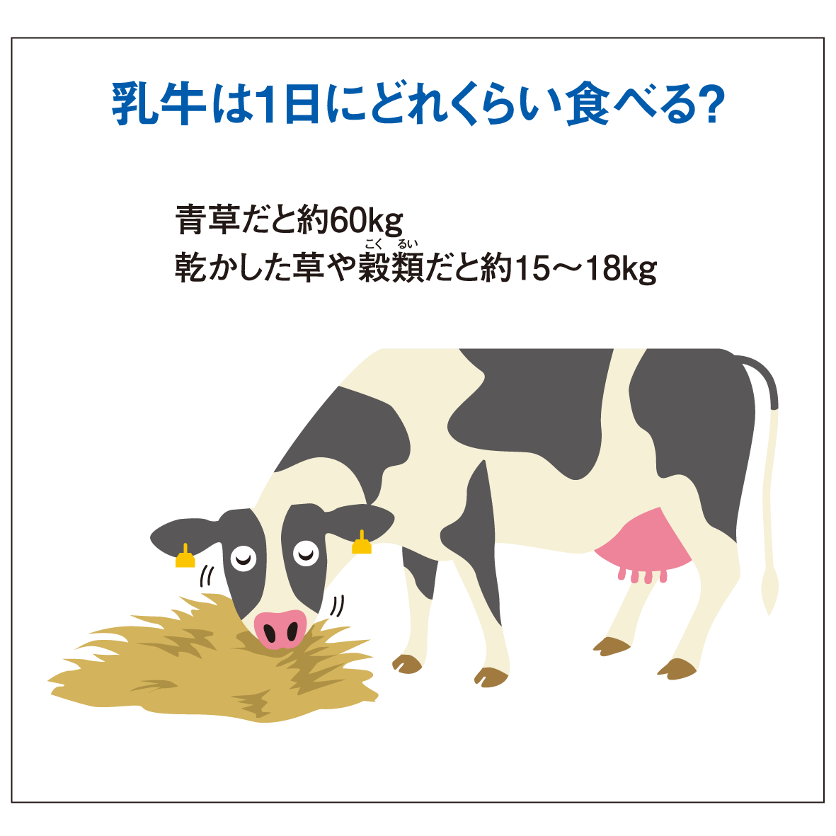 乳牛 牧場について 一般社団法人ｊミルク Japan Dairy Association J Milk