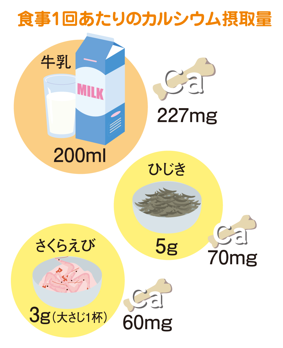 カルシウム関連 一般社団法人ｊミルク Japan Dairy Association J Milk